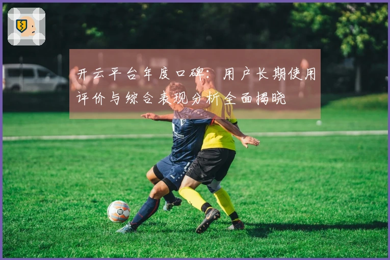 开云平台年度口碑：用户长期使用评价与综合表现分析全面揭晓