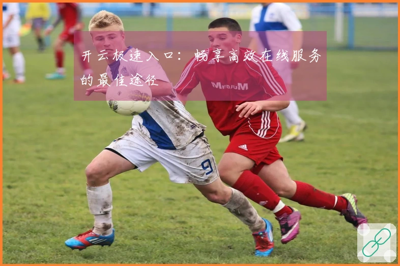 开云极速入口：畅享高效在线服务的最佳途径