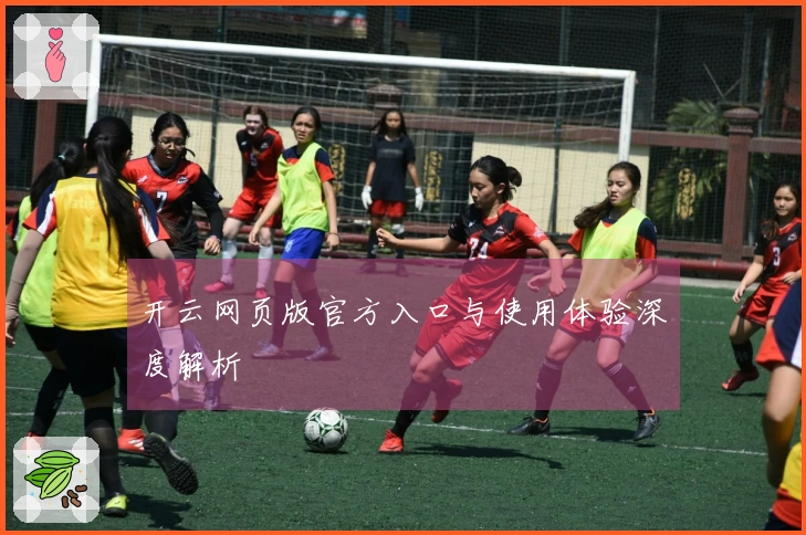开云网页版官方入口与使用体验深度解析